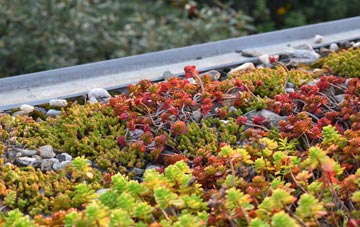the cost of Broxfield green roof installation