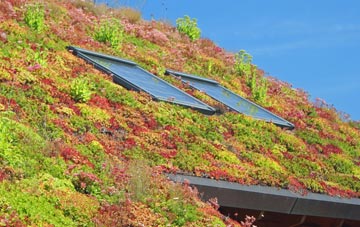 Broxfield living roof systems